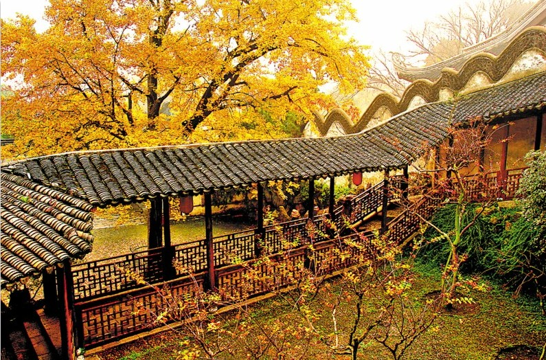 连云港2日1晚跟团游·上花果山、看美猴王。