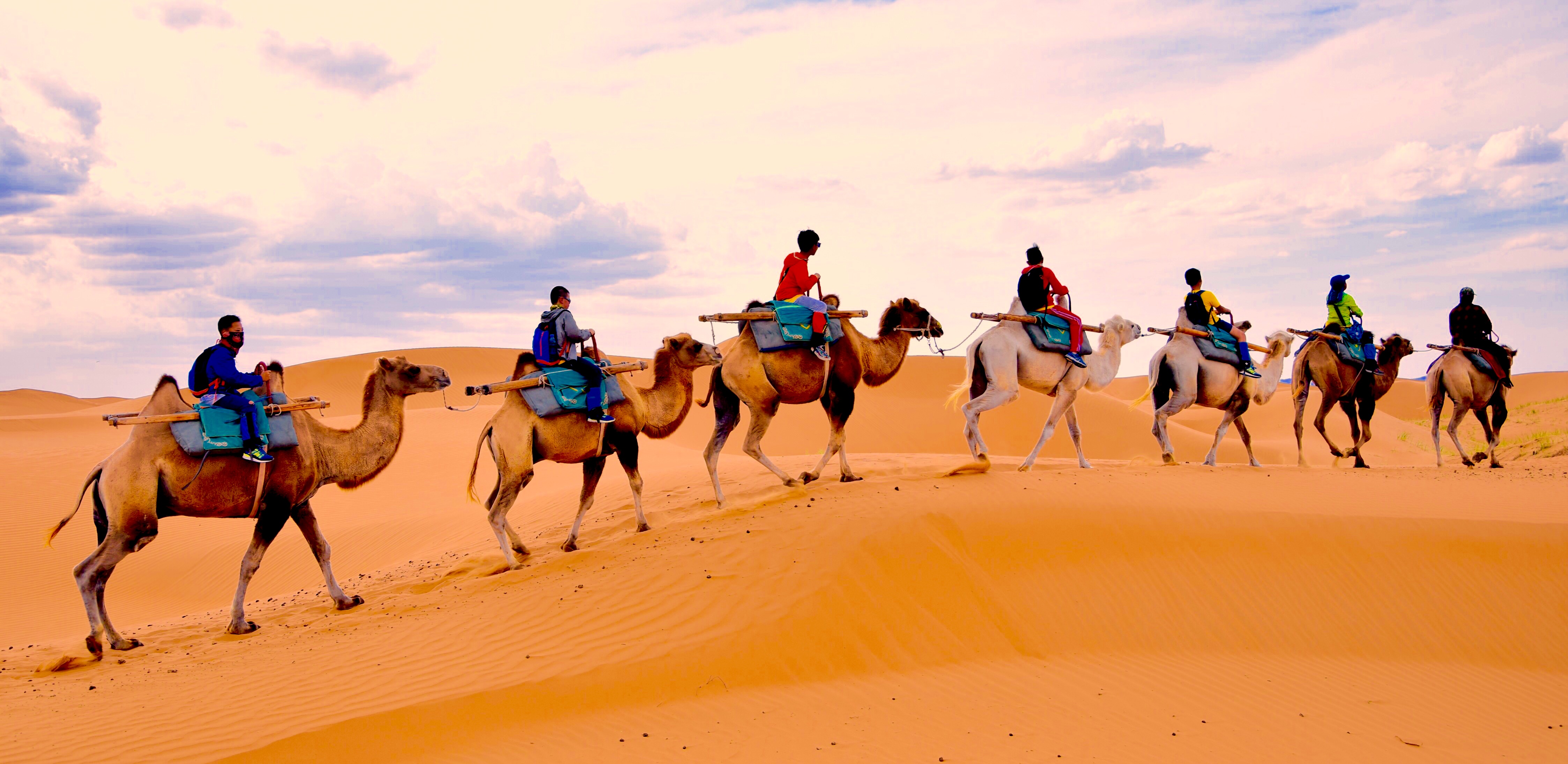 银川 中卫4日3晚跟团游(4钻)·【携程亲子游】骑骆驼穿越腾格里沙漠