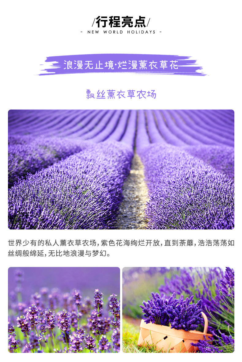 澳大利亚霍巴特+朗塞斯顿4日3晚跟团游(4钻)·