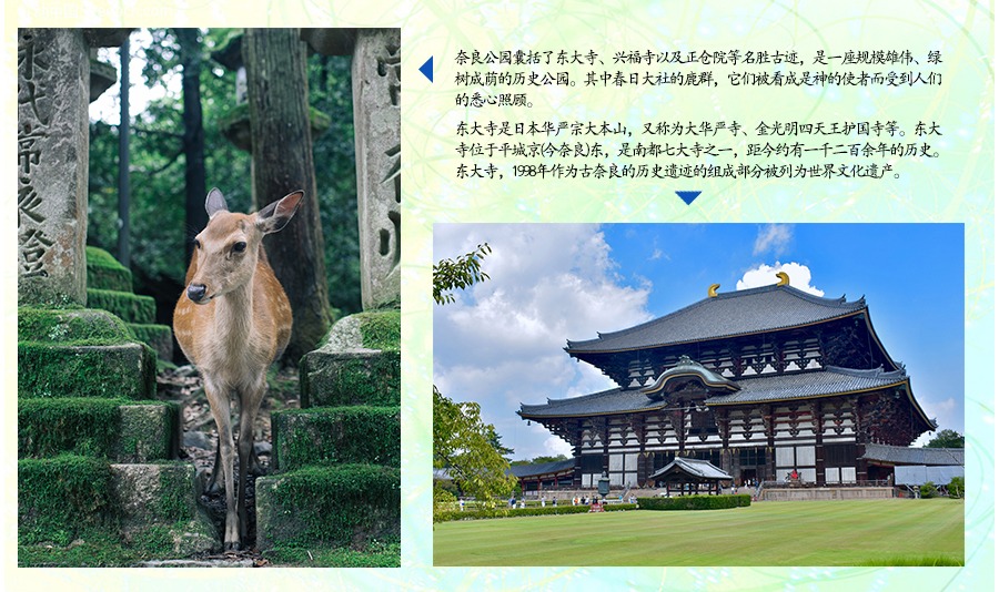 日本东京都+大阪府6日5晚半自助游·【天津直