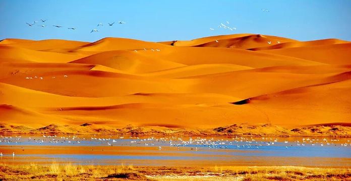 内蒙古阿拉善左旗腾格里沙漠3日2晚半自助游