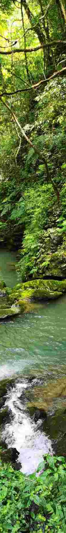 黑山谷风景区-重庆