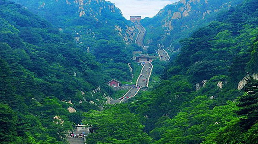 泰安旅游人口_泰安新生人口趋势图(3)