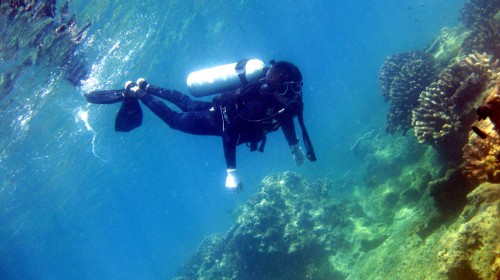 建议非强制自费项目在,海口+三亚+陵水+分界洲