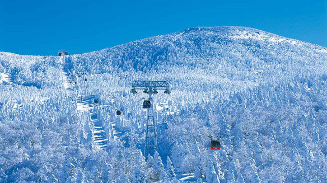 摄影之旅·日本旭川 小樽 登别 札幌5日4晚跟团游·企鹅巡游 福给鱼