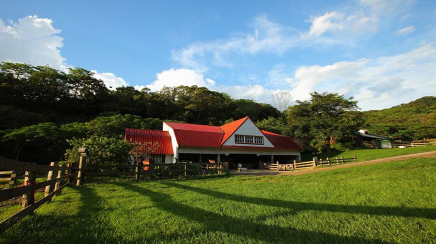 台湾西部6日5晚跟团游·【L签可报名 1天半自