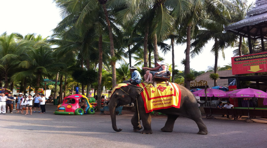 表演    ★只进1购物店,自费600封顶    ★赏人妖,享泰式按摩,骑大象
