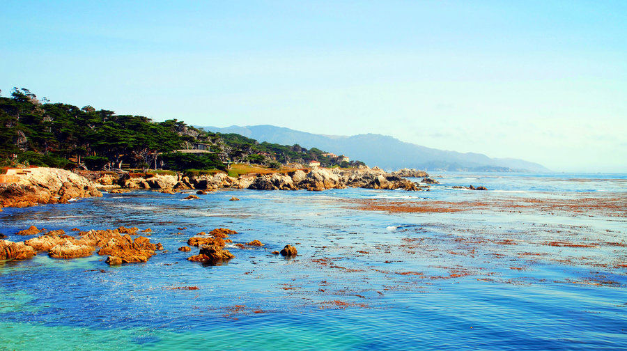 行程是海鸥旅行社地接,美国旧金山4日跟团游·