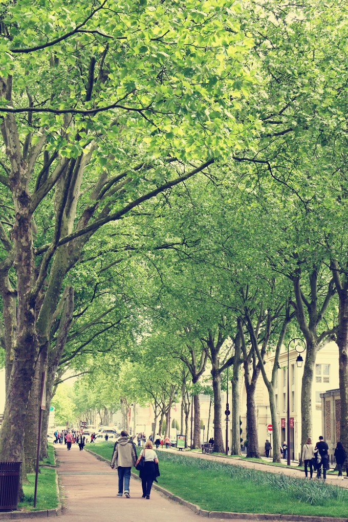 摩纳哥旅游怎么样,摩纳哥旅游好玩吗