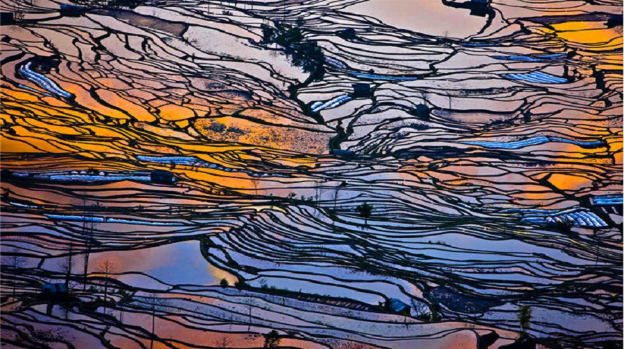 人什么地灵成语_原神蒙德地灵龛位置图(3)
