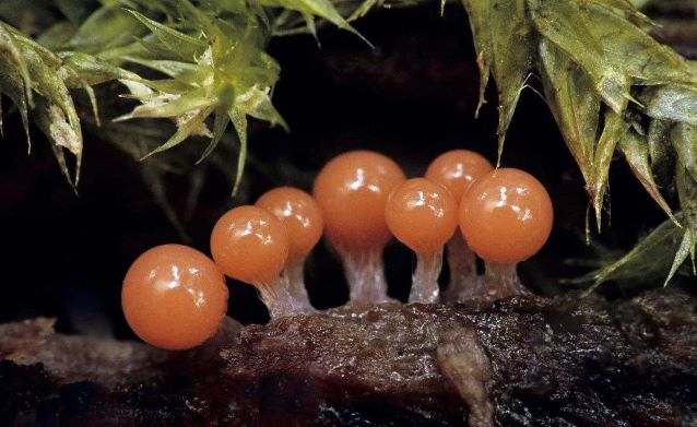 【少年自然科学创新营】5天4夜少年极客成长