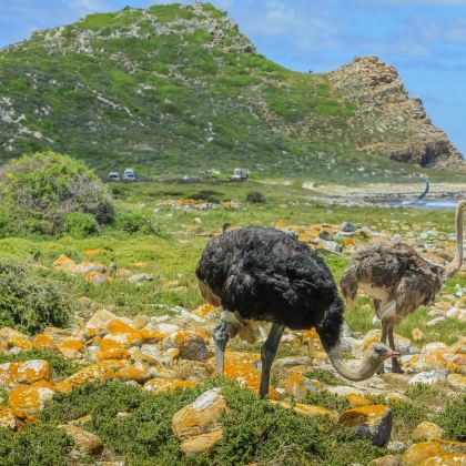 纳米比亚+南非+津巴布韦+博茨瓦纳+赞比亚17日跟团游