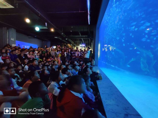 邯郸·海洋世界旅行图片 7