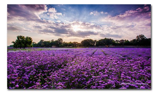 【携程攻略】郑州到米兰旅游报价,郑州到米兰