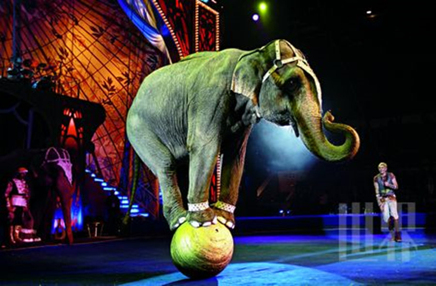 俄罗斯12日跟团游·【亲子游】俄航直飞+马戏