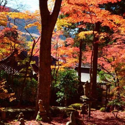 日本东京5日4晚拼小团