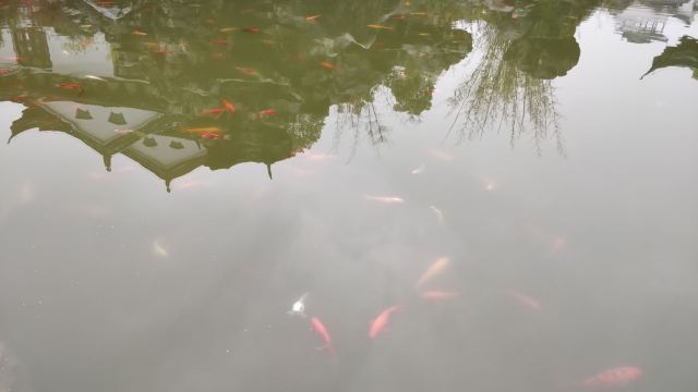 皇窑旅行图片 2
