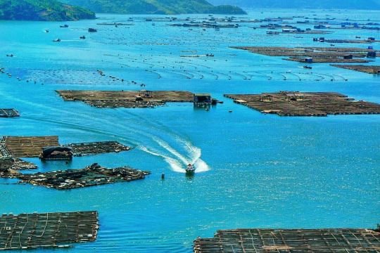 霞浦旅游导览图,霞浦县旅游,霞浦自驾游景点线路_大山谷图库