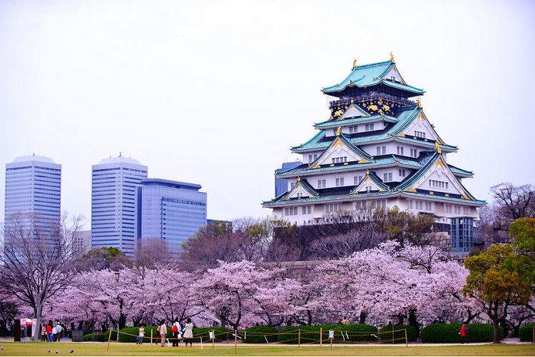 日本旅游跟团