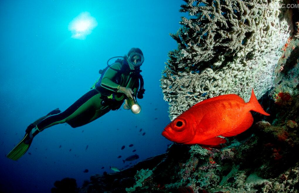 埃及开罗 卢克索 红海red sea 迪拜 阿布扎比10日跟团游(5钻)·全程5