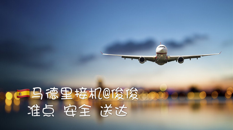 马德里机场火车站接送到市中心(单次)