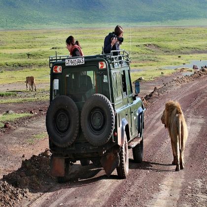 坦桑尼亚7日6晚跟团游