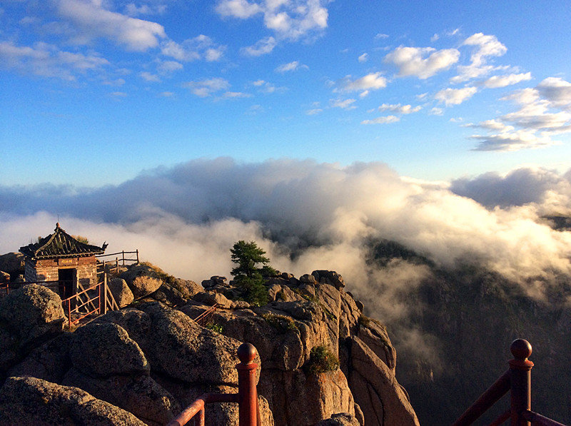 忻州gdp2020_忻州地图(3)