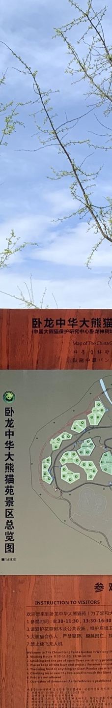 卧龙中华大熊猫苑神树坪基地-汶川