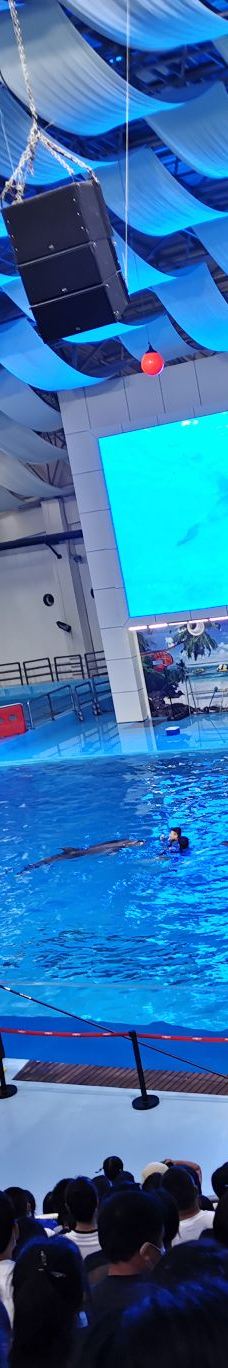 合肥海洋世界-合肥