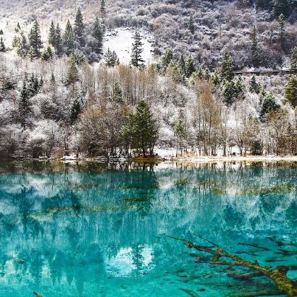 九寨沟+黄龙风景名胜区+都江堰中华大熊猫苑（原熊猫乐园）3日2晚跟团游