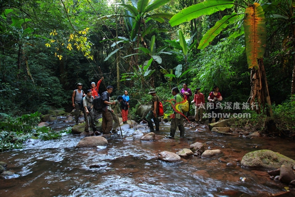 西双版纳7日亲子营·自然教育之探秘雨林,触摸心灵之旅!