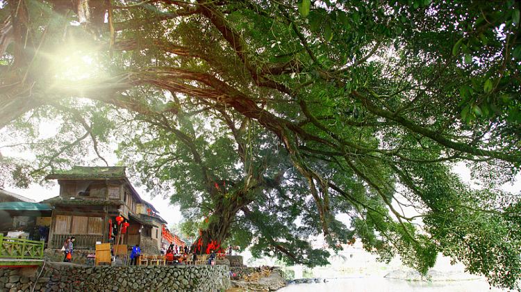 6-Day Wuyishan + Xiamen + Kulangsu + Zhangzhou+Nanjing Tulou Cluster