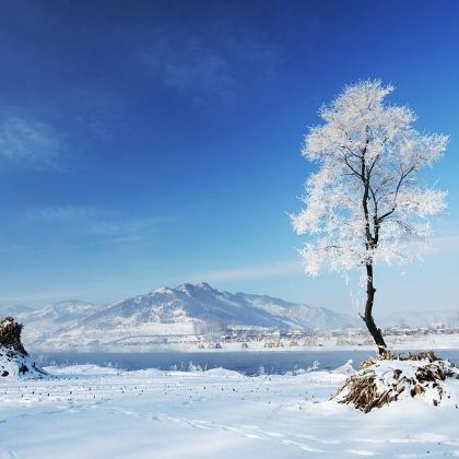 日本北海道5日自由行