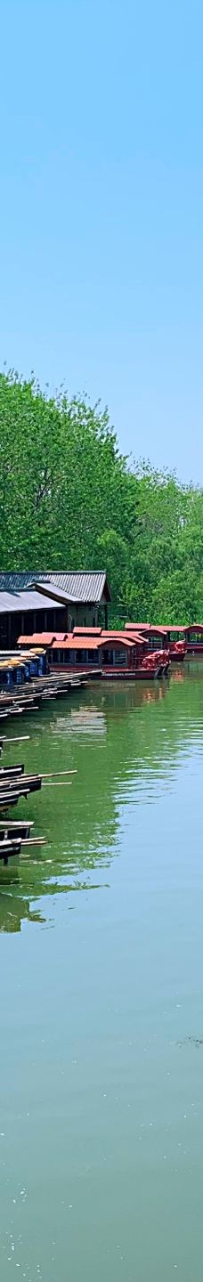 溱湖国家湿地公园-泰州