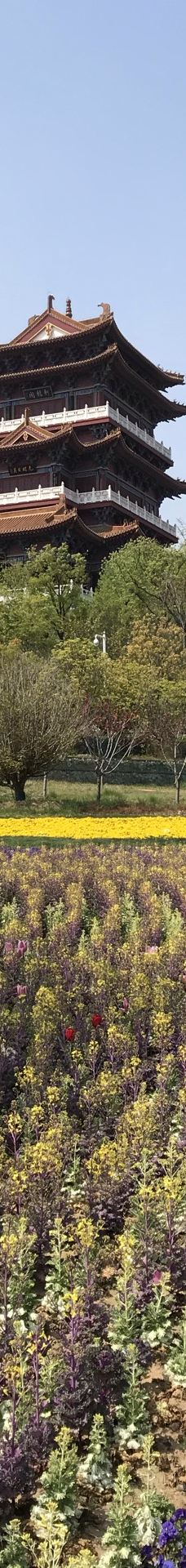 郑州园博园-新郑