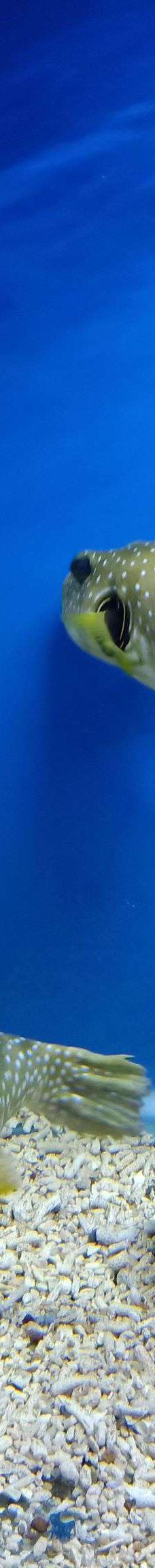 海趣花都海洋世界-昆明