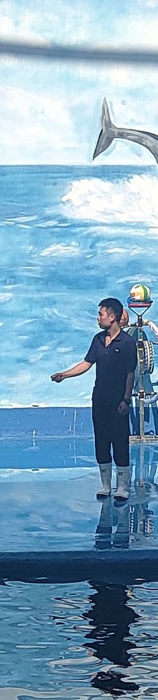 石林冰雪海洋世界-石林