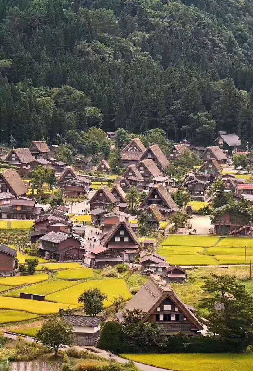 日本东京+大阪6日跟团游·五星舒适航班 精华