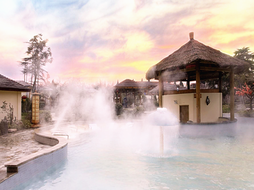 江苏南京2日1晚跟团游(4钻)·开"泡"汤山颐尚温泉&观中山陵[多订惠]