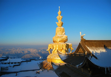 乐山+峨眉山2日1晚跟团游·【国旅真纯玩】【可选升级20人小团头等舱大巴】【4钻/5钻酒店可选】《二进峨眉深度游1.5天+船游观大佛全貌或进大佛景区抱佛足》【12人总裁座驾小团D线】+三环内包接+特色美食+24小时客服