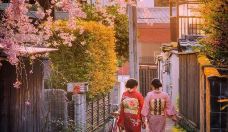 日本东京5日自由行· 【樱花祭 4月立减100/单】热款赏樱之旅 4晚核心酒店连住 Go！东京购 即刻入伙 “FOURTRY”潮流集合营 富士急乐园恐怖鬼屋节目同款 樱花树下晴空树 目黑川遇见唯美夜樱 