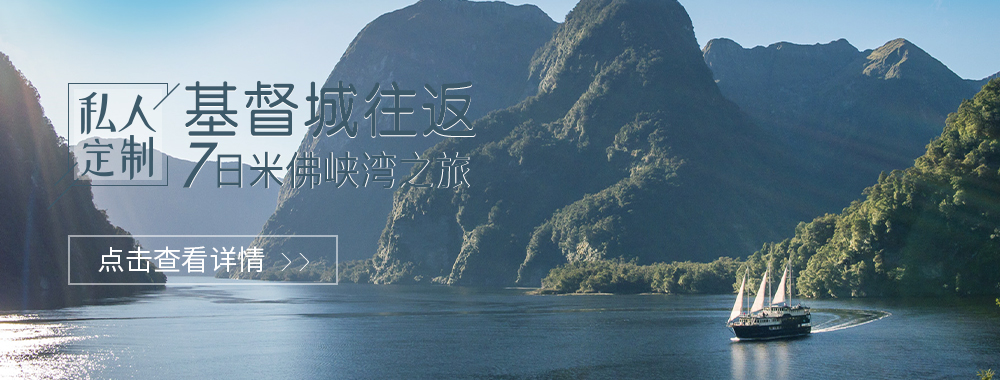 新西兰基督城+福克斯冰河+皇后镇+达尼丁+蒂