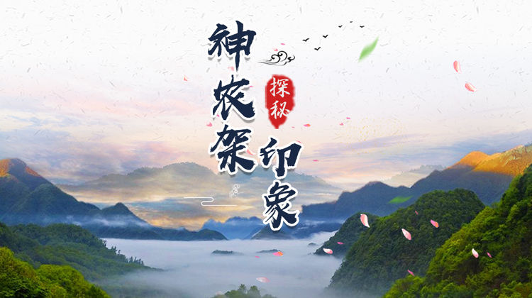 神农架2日1晚跟团游