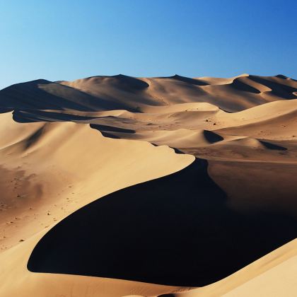 青海+甘肃8日7晚私家团