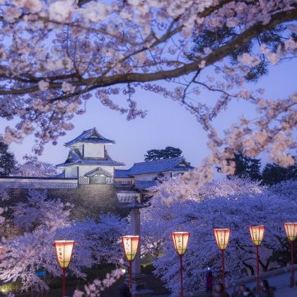 日本名古屋+飞驒高山+金泽5日自由行