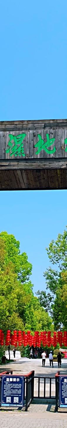 溱湖国家湿地公园-泰州