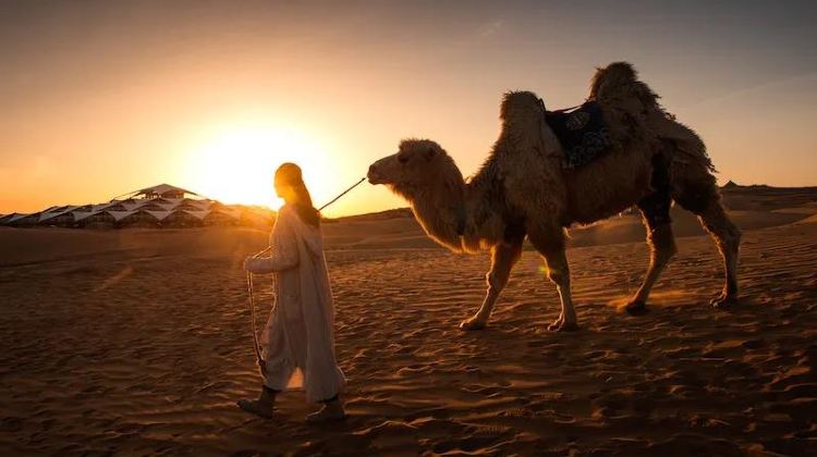 5-Day 5-day 4-night · Private Tour · Inner MongoliaHohhot + Huitengxile Grassland + Whistling Dune Bay