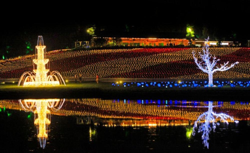 成都秀丽东方灯幻世界宵夏夜小吃套餐(八人套餐 赠门票8张)