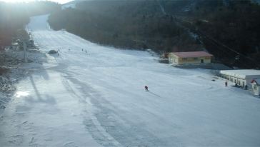 滨出发,赠送索菲亚门票、滑雪纪念章、意外险