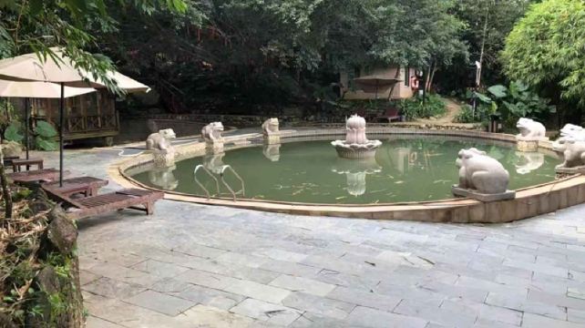 七仙瑶池野溪温泉